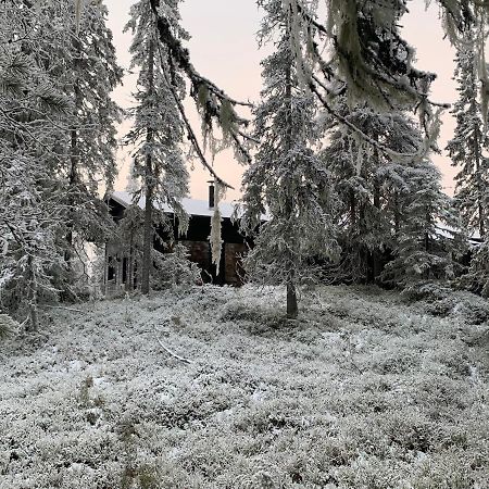 Chale Naava Villa Rukatunturi Buitenkant foto